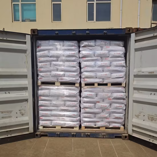 Chuang Ge Yi Lian Biossido di titanio R